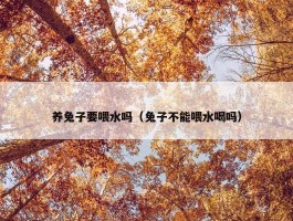 养兔子要喂水吗（兔子不能喂水喝吗）