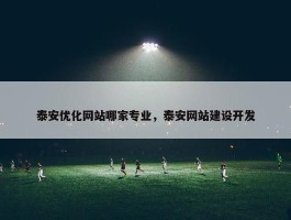 泰安优化网站哪家专业，泰安网站建设开发