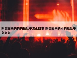 刚买回来的狗狗拉肚子怎么回事 刚买回来的小狗拉肚子怎么办