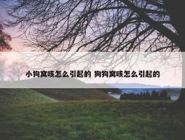 小狗窝咳怎么引起的 狗狗窝咳怎么引起的