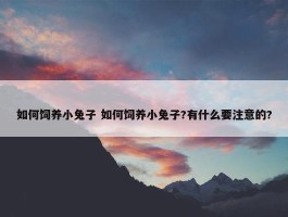 如何饲养小兔子 如何饲养小兔子?有什么要注意的?