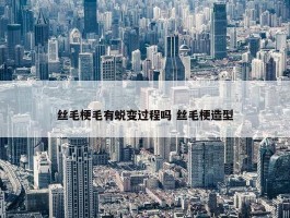 丝毛梗毛有蜕变过程吗 丝毛梗造型