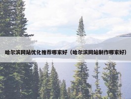 哈尔滨网站优化推荐哪家好（哈尔滨网站制作哪家好）