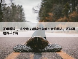 正眼看球 _ 这个除了进球什么都不会的男人，还能再培养一个吗