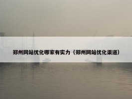 郑州网站优化哪家有实力（郑州网站优化渠道）