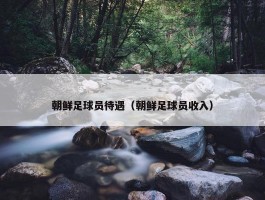 朝鲜足球员待遇（朝鲜足球员收入）