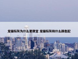 龙猫标灰为什么更便宜 龙猫标灰和什么颜色配