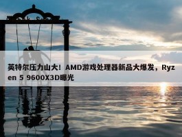 英特尔压力山大！AMD游戏处理器新品大爆发，Ryzen 5 9600X3D曝光