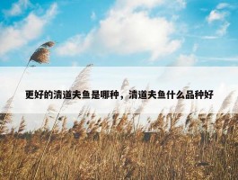 更好的清道夫鱼是哪种，清道夫鱼什么品种好