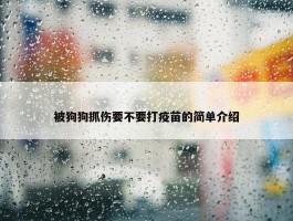 被狗狗抓伤要不要打疫苗的简单介绍