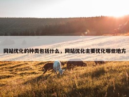 网站优化的种类包括什么，网站优化主要优化哪些地方