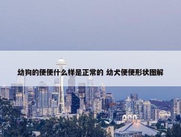 幼狗的便便什么样是正常的 幼犬便便形状图解