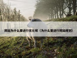 网站为什么要进行优化呢（为什么要进行网站规划）