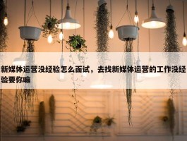 新媒体运营没经验怎么面试，去找新媒体运营的工作没经验要你嘛