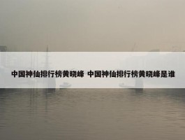 中国神仙排行榜黄晓峰 中国神仙排行榜黄晓峰是谁