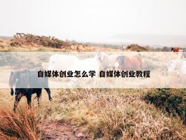 自媒体创业怎么学 自媒体创业教程