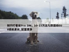 别只盯着宋Pro DM，10-15万这几款混动SUV续航更长_配置更多