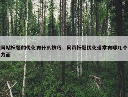 网站标题的优化有什么技巧，网页标题优化通常有哪几个方面