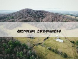 边牧养得活吗 边牧养得活吗知乎