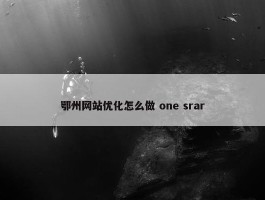 鄂州网站优化怎么做 one srar