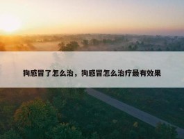 狗感冒了怎么治，狗感冒怎么治疗最有效果