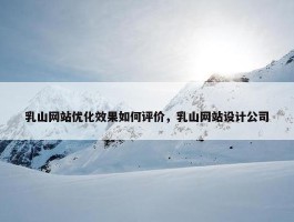 乳山网站优化效果如何评价，乳山网站设计公司