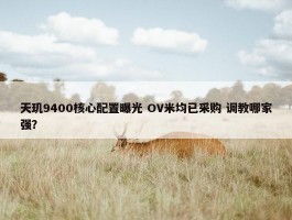 天玑9400核心配置曝光 OV米均已采购 调教哪家强？