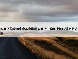 狗身上的吸血虫会不会爬到人身上（狗身上的味道怎么去除）