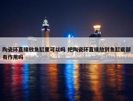 陶瓷环直接放鱼缸里可以吗 把陶瓷环直接放到鱼缸底部有作用吗