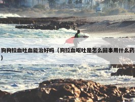 狗狗拉血吐血能治好吗（狗拉血呕吐是怎么回事用什么药）