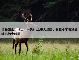 全是泪水！《二十一天》12集大结局，是我今年看过最痛心的大结局