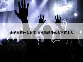 金毛狗起什么名字 金毛狗起什么名字旺主人