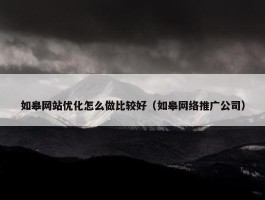 如皋网站优化怎么做比较好（如皋网络推广公司）