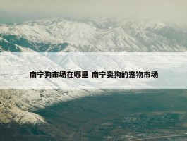 南宁狗市场在哪里 南宁卖狗的宠物市场