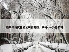 铁岭网站优化的公司有哪些，铁岭seo外包公司