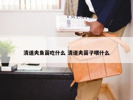 清道夫鱼苗吃什么 清道夫苗子喂什么