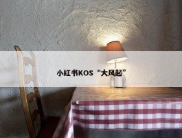 小红书KOS“大风起”