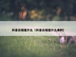 抖音云端是什么（抖音云端是什么来的）