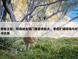 泰晤士报：阿森纳主场门票需求巨大，考虑扩建球场与对手抗衡