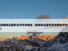 新媒体运营职业学校有哪些（新媒体运营专业有哪些学校）