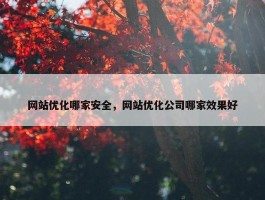 网站优化哪家安全，网站优化公司哪家效果好