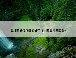 栾川网站优化哪家好用（中国栾川网公告）