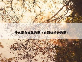 什么是自媒体数据（自媒体统计数据）