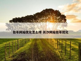 包年网站优化怎么样 长沙网站包年优化