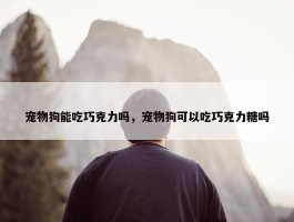 宠物狗能吃巧克力吗，宠物狗可以吃巧克力糖吗