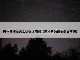 两个月博美怎么训练上厕所（两个月的博美怎么照顾）