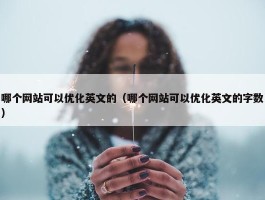 哪个网站可以优化英文的（哪个网站可以优化英文的字数）