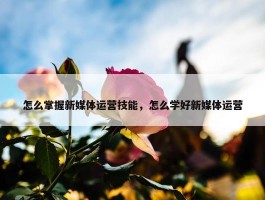 怎么掌握新媒体运营技能，怎么学好新媒体运营