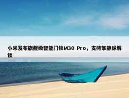 小米发布旗舰级智能门锁M30 Pro，支持掌静脉解锁