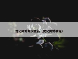 优化网站如何更新（优化网站教程）